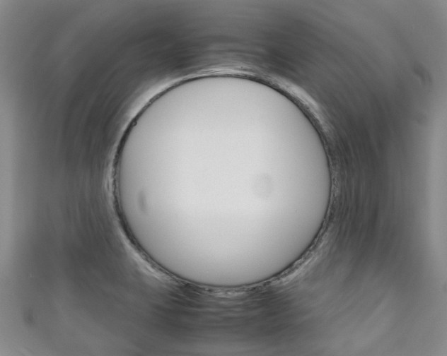 X0000111921423200907271000