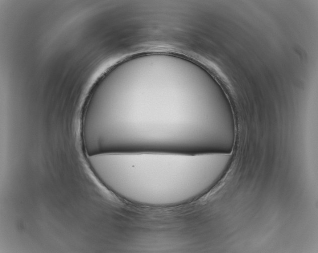 X0000111921424200907271000