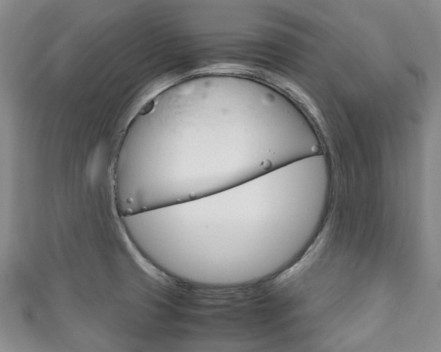 X0000111921425200907271000