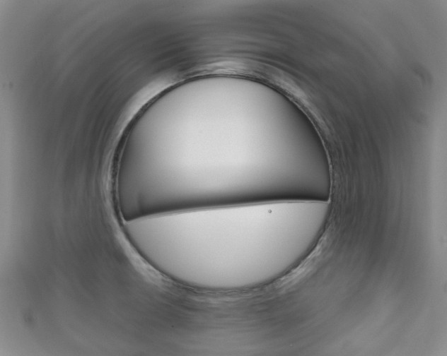 X0000111921426200907271000