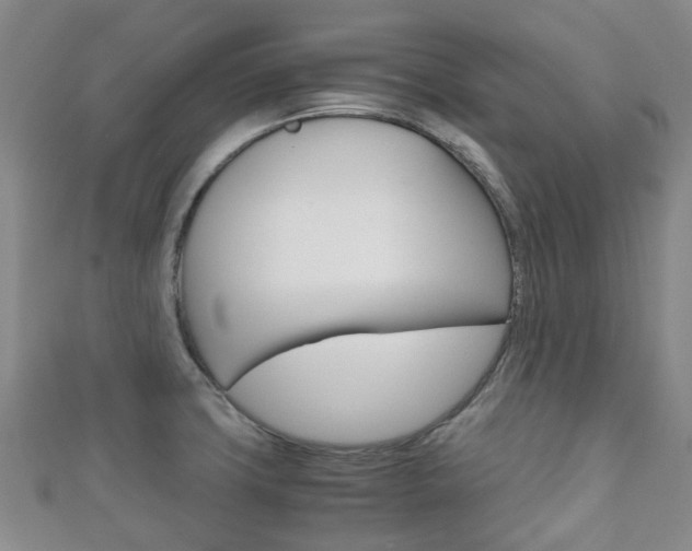 X0000111921427200907271000