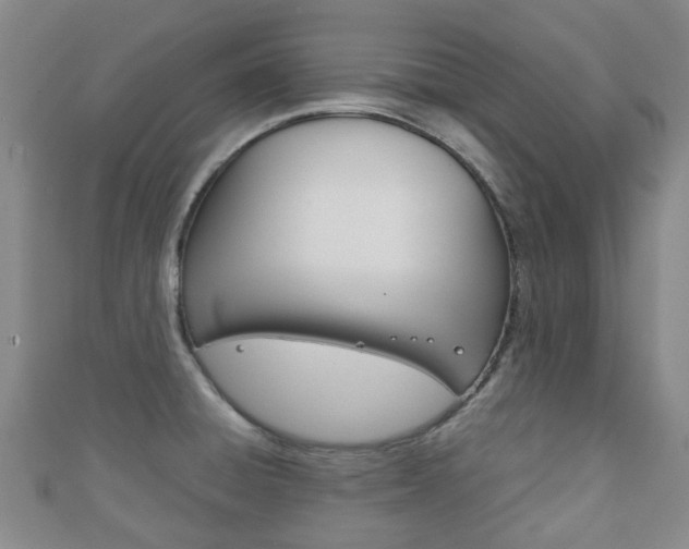 X0000111921428200907271000