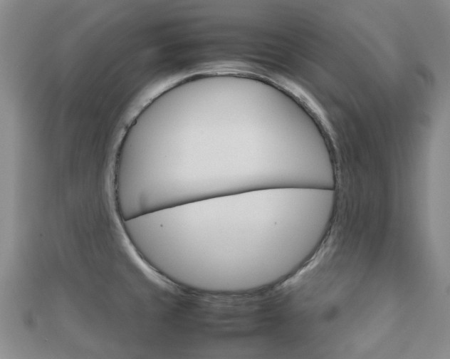 X0000111921429200907271000