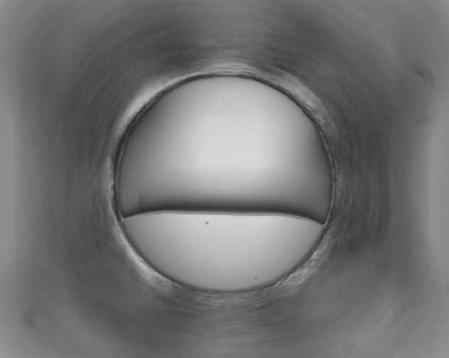 X0000111921430200907271000