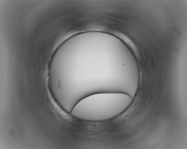 X0000111921431200907271000