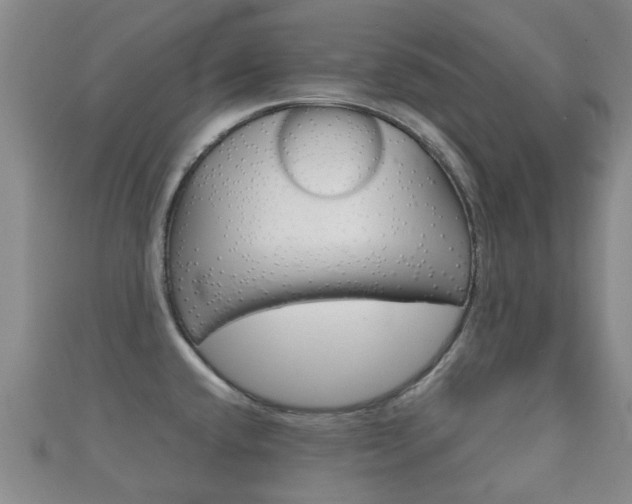 X0000111921432200907271000