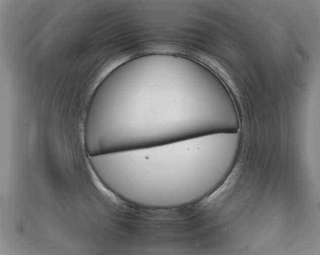 X0000111921433200907271000