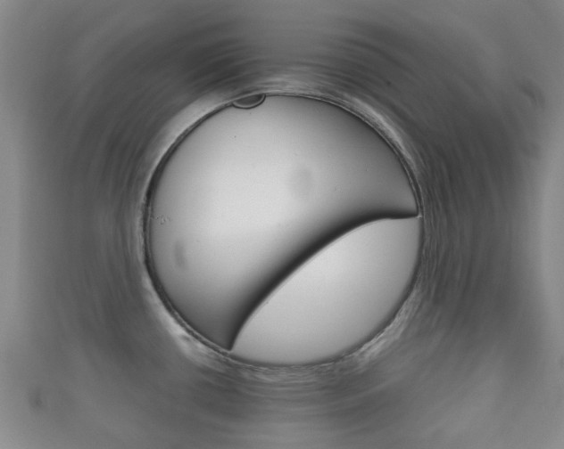 X0000111921434200907271000