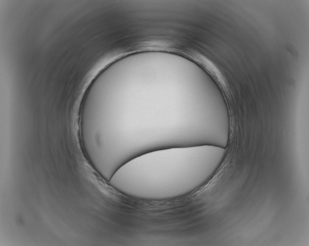 X0000111921435200907271000