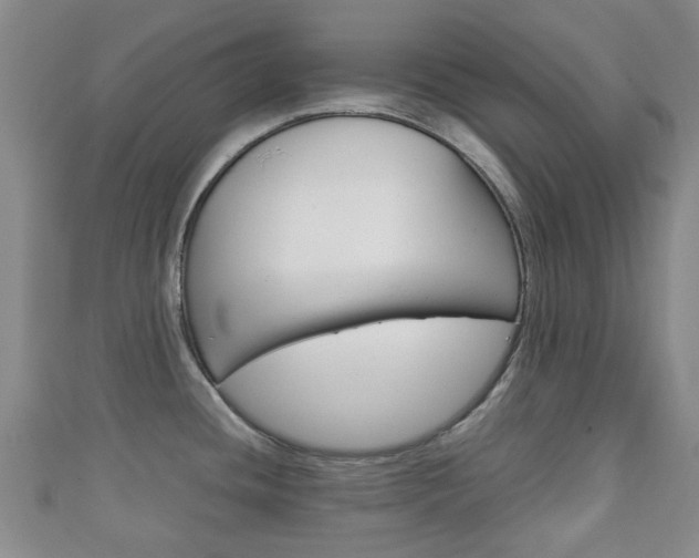 X0000111921436200907271000