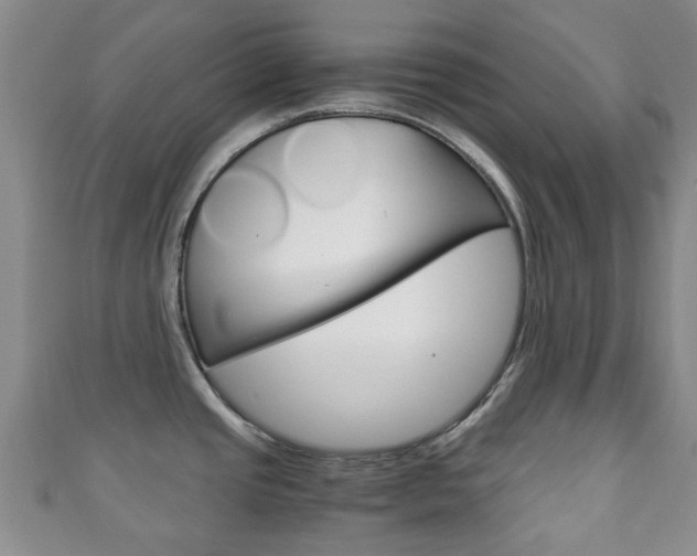 X0000111921437200907271000