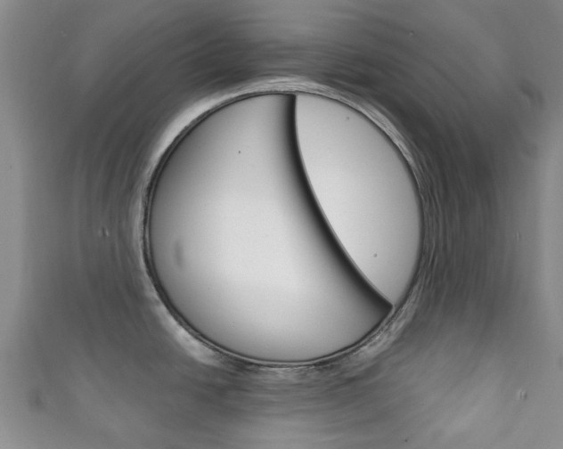 X0000111921438200907271000