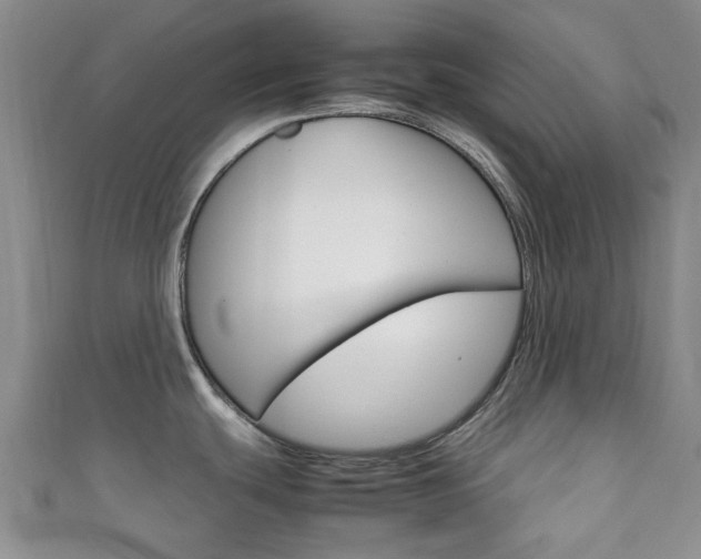X0000111921439200907271000