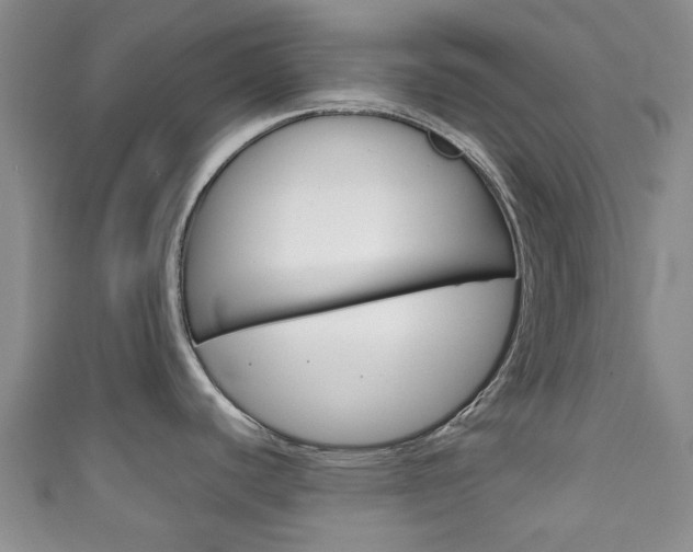 X0000111921440200907271000