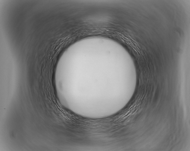 X0000111921441200907271000
