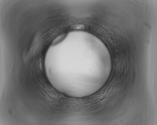 X0000111921442200907270959