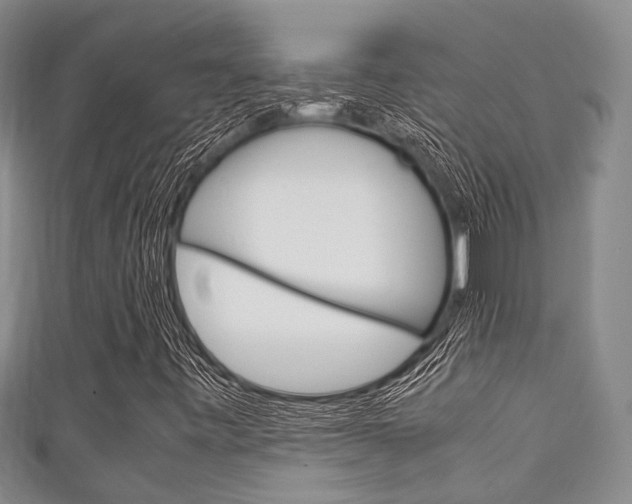 X0000111921443200907270959
