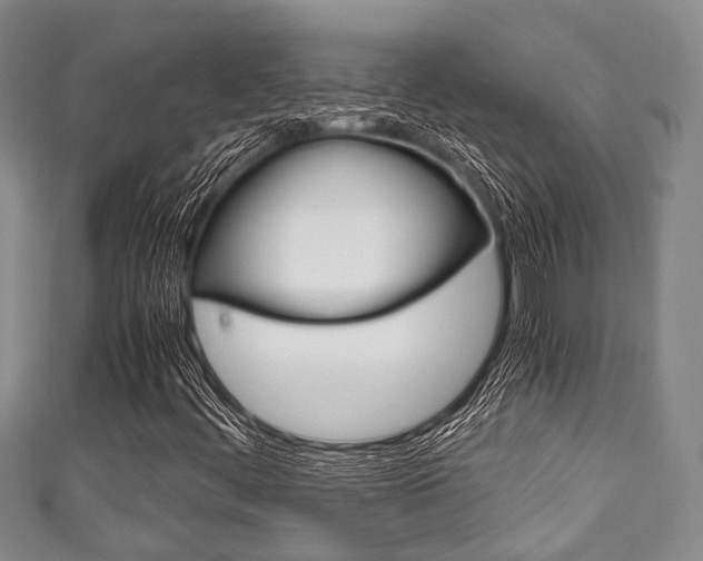 X0000111921444200907270959
