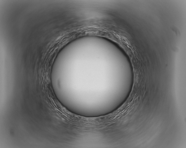 X0000111921445200907270959