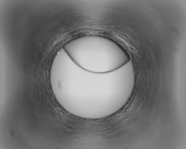 X0000111921447200907270959