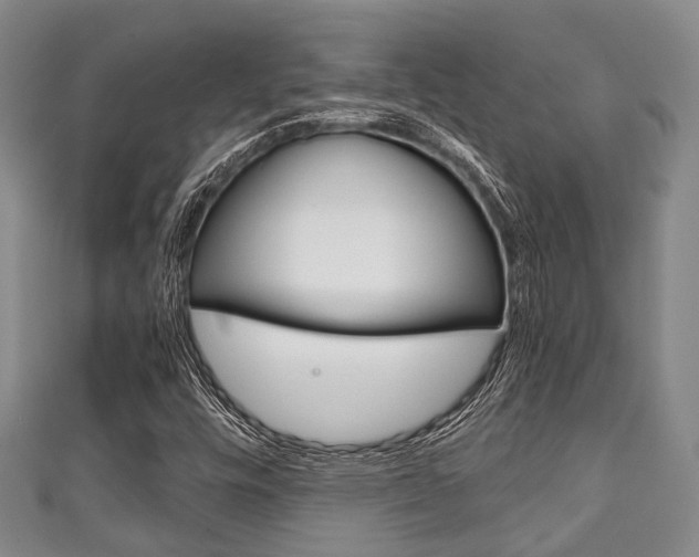 X0000111921448200907270959