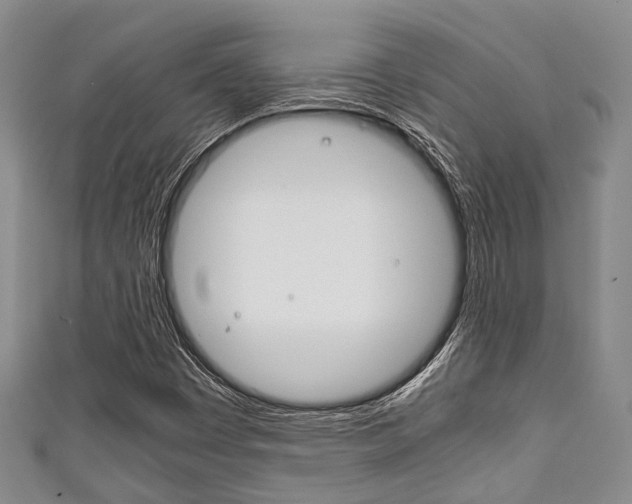 X0000111921449200907270959