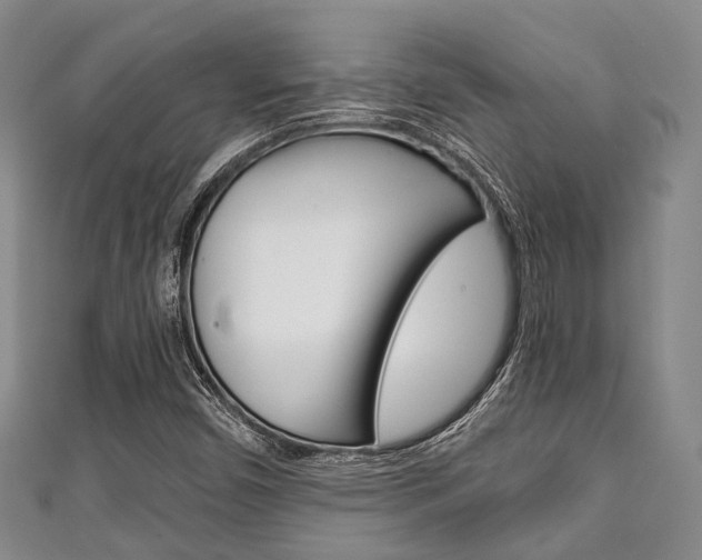 X0000111921450200907270959