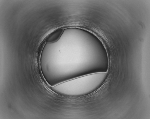 X0000111921452200907270959