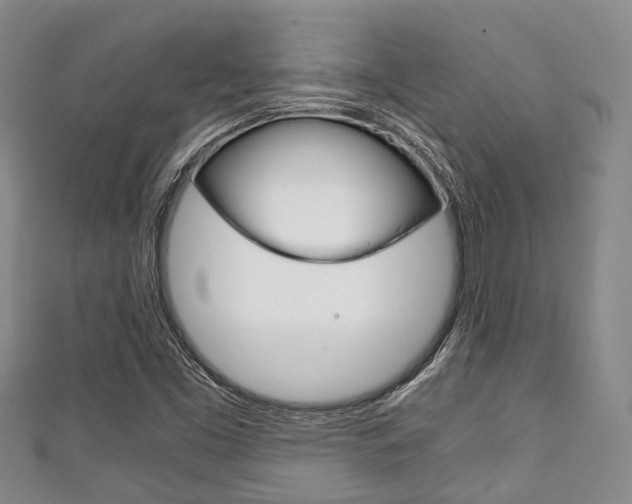 X0000111921453200907270959