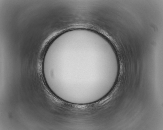 X0000111921454200907270959