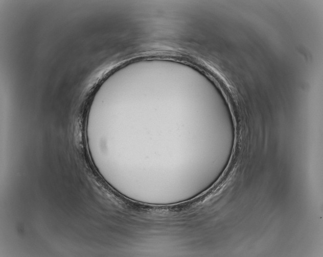 X0000111921455200907270959