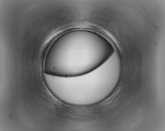 X0000111921456200907270959