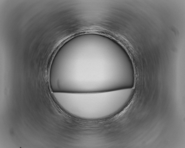 X0000111921457200907270959