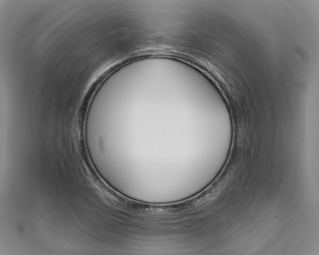 X0000111921458200907270959