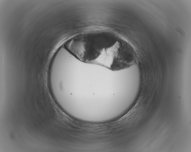 X0000111921459200907270959