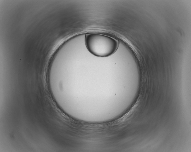 X0000111921461200907270959