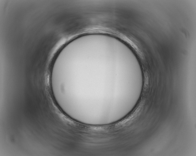 X0000111921462200907270959