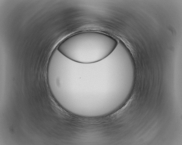 X0000111921465200907270959