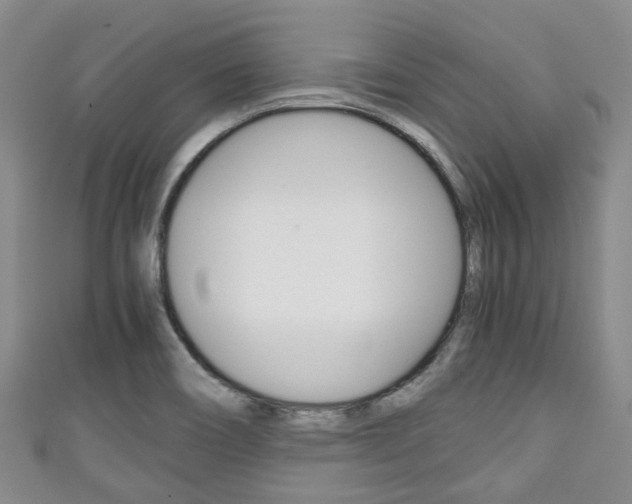 X0000111921466200907270959