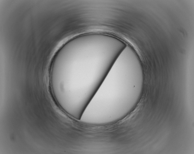 X0000111921467200907270959