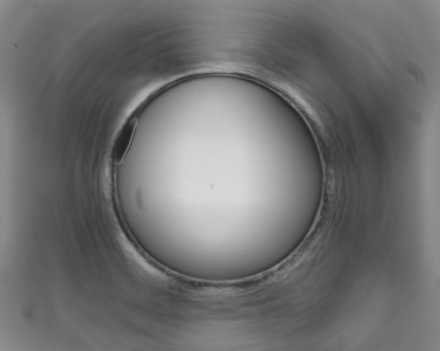 X0000111921468200907270959