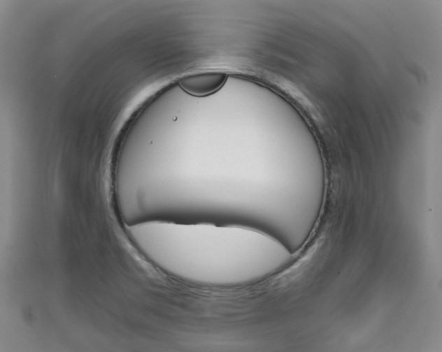 X0000111921469200907270959