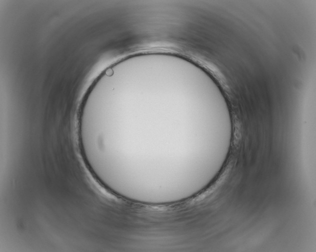 X0000111921470200907270959