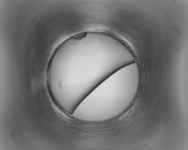 X0000111921471200907270959