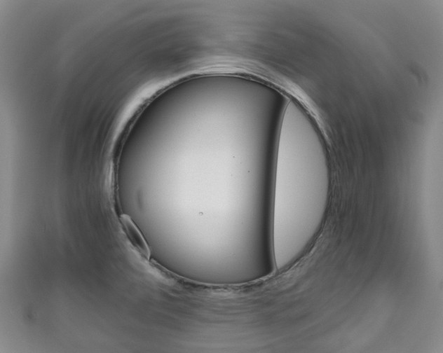 X0000111921472200907270959