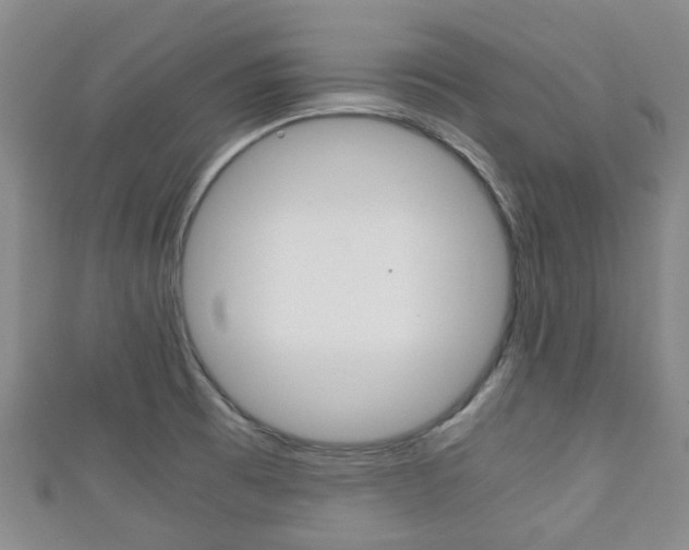 X0000111921473200907270959