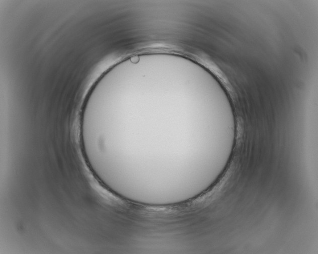 X0000111921474200907270959