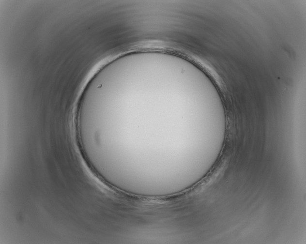 X0000111921475200907270959
