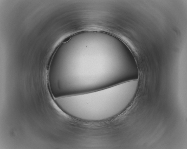 X0000111921476200907270959