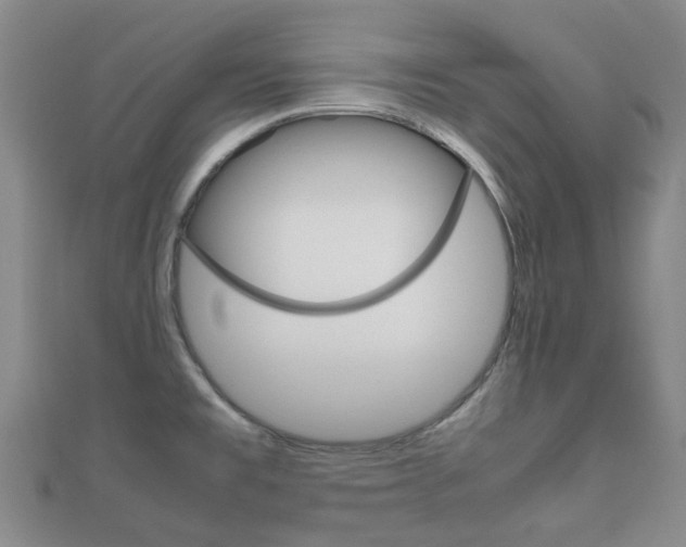 X0000111921477200907270959